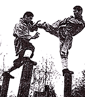 72 Shaolin Arts - Skill of Plum Meihua Posts
