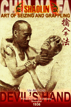 Shaolin kung fu training manual pdf