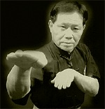 Biu Lau. Southern Shaolin Choi Mok Kuen /Hong Kong, 2005/